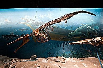 《潜行者2》现已压盘送厂 2024年11月20日发售